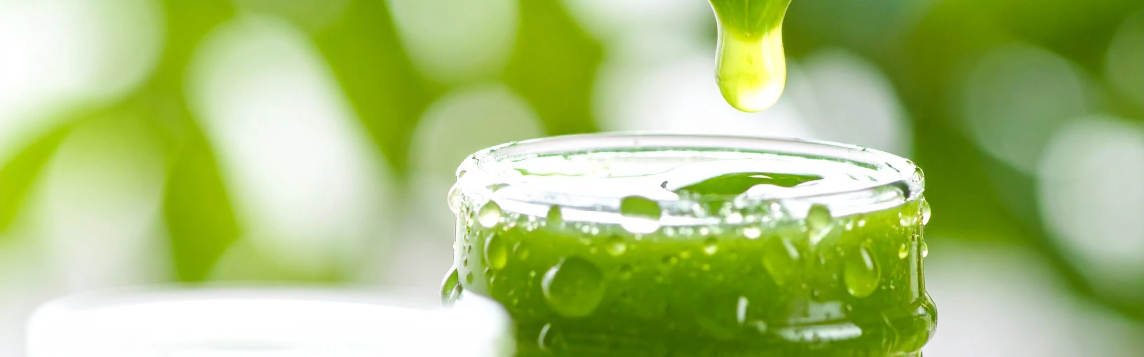 Five Greens Juice Powder