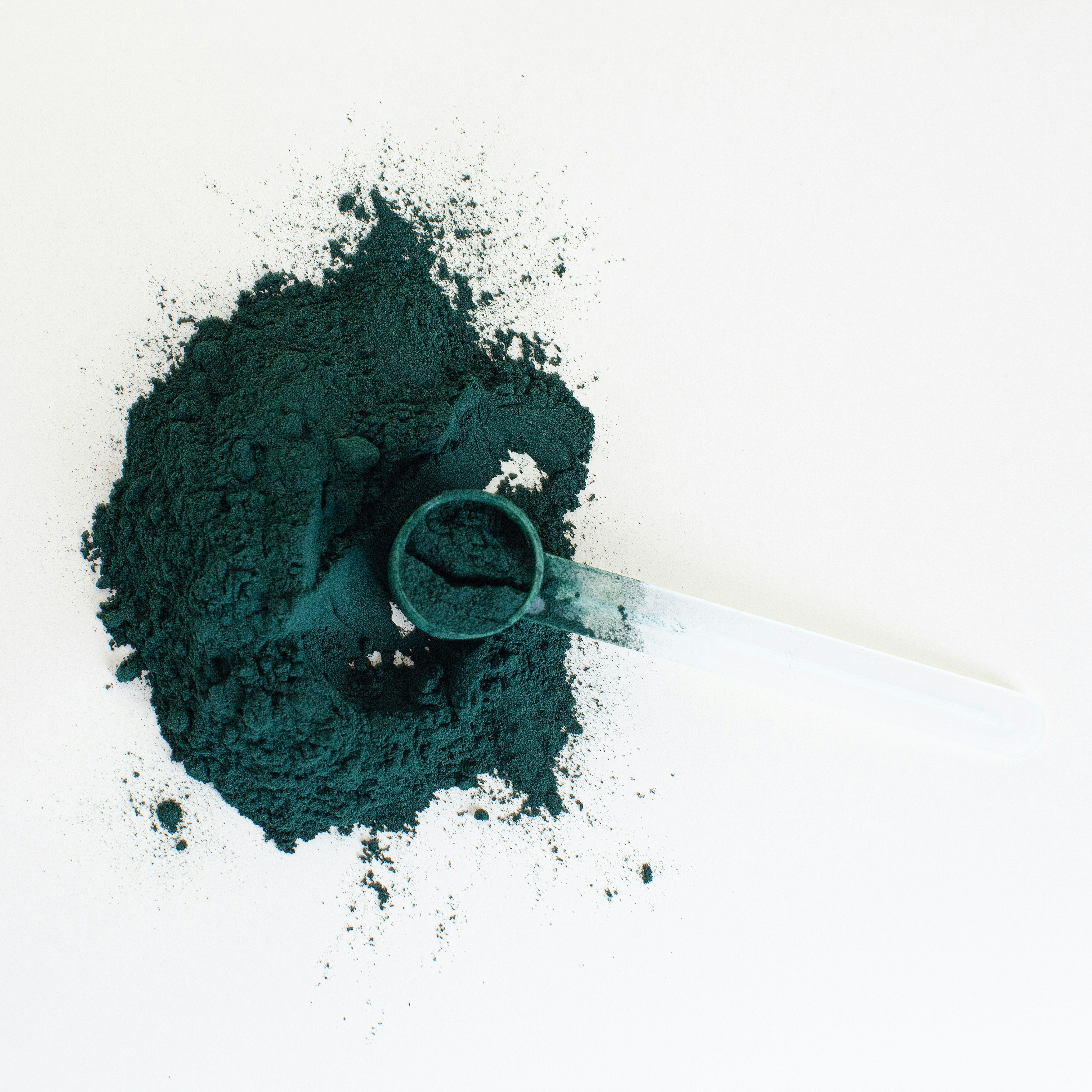 Blue-green botanical juice powder with measuring scoop - concentrated nutrient-rich supplement ingredient