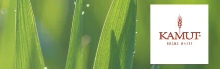 KAMUT Wheatgrass Juice Powder